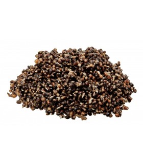 Starbaits Ready Seeds Hot Demon Hemp 1kg