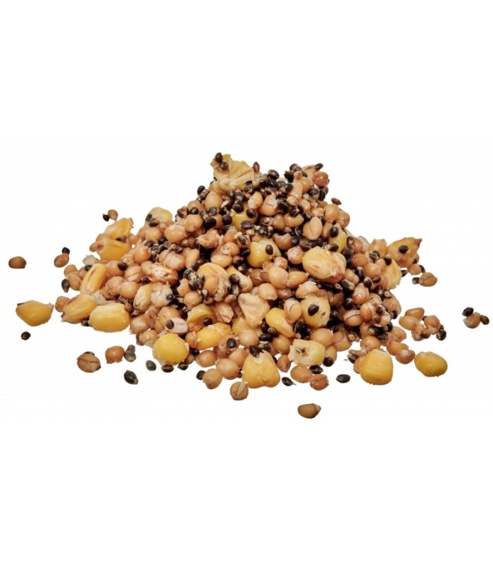 Starbaits Ready Seeds Hot Demon Spod Mix 3kg