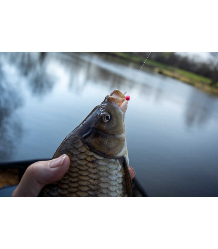 SONUBAITS MICRO BAND'UM WAFTER fluoro