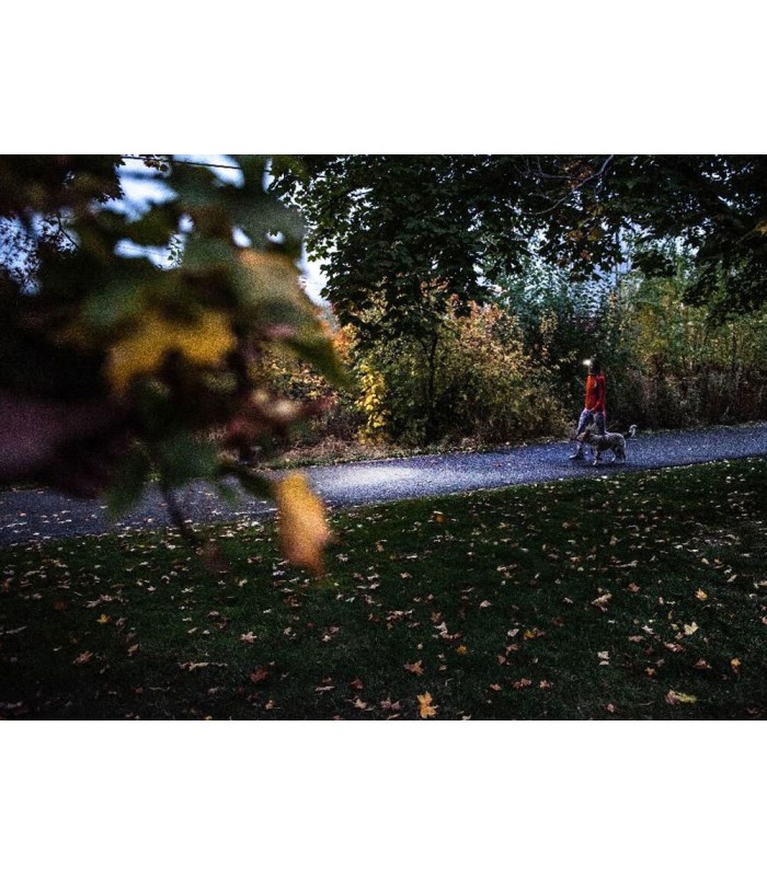 LED LENSER HF4 R Core Red Box