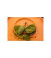 Sonubaits Pro Green Fishmeal 900gr