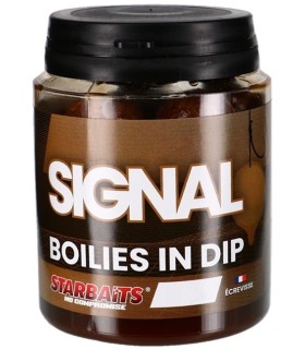 Starbaits PC Signal Boiles In Dip 20mm 150gr