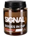 Starbaits PC Signal Boiles In Dip 20mm 150gr