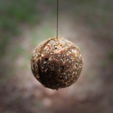 Nash Spot On Ball Maker 40mm