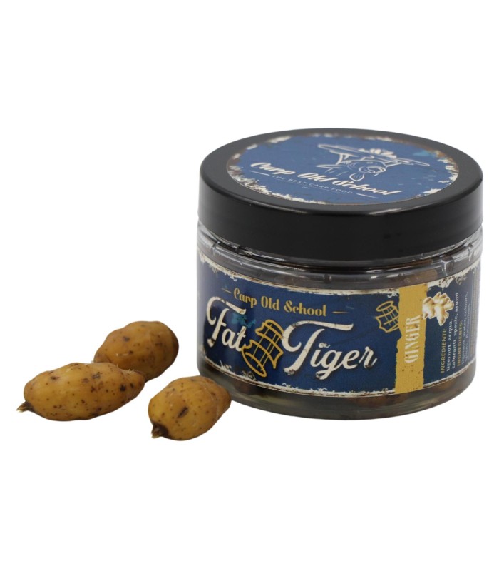 Carp Old School Fat Tiger Ginger