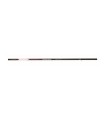 Daiwa 20 Amorphous Bolo Power 6mt