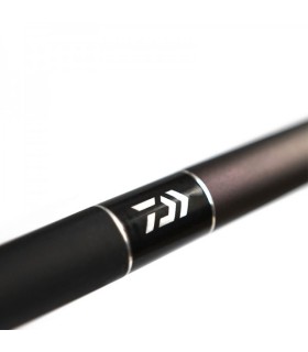 Daiwa 20 Amorphous Bolo Power 6mt