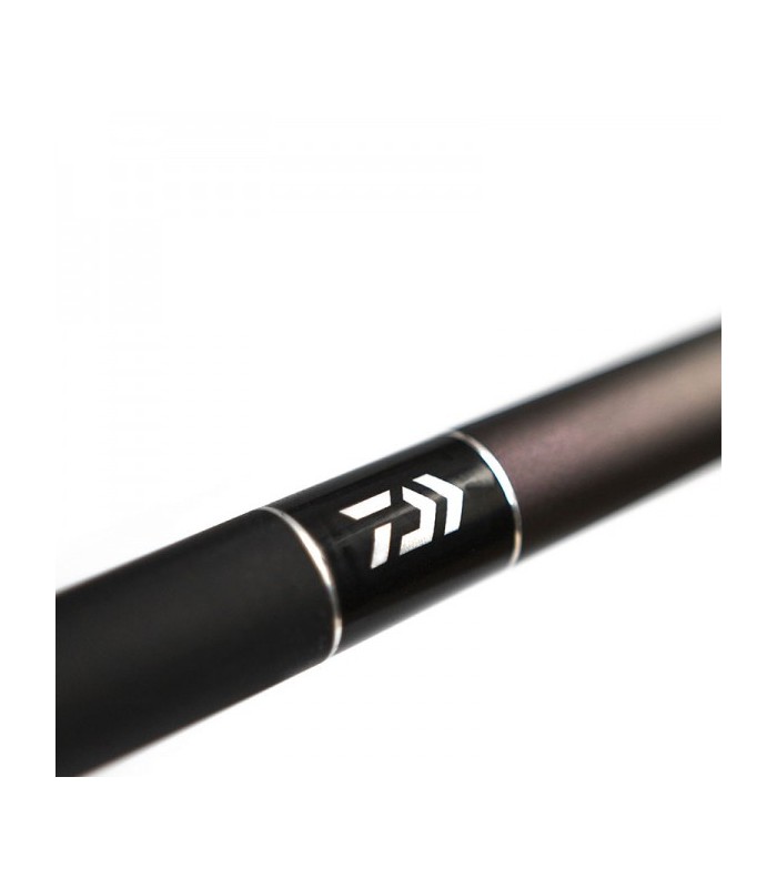 Daiwa 20 Amorphous Bolo Power 6mt