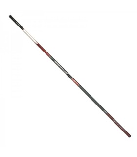 Daiwa 20 Amorphous Bolo Power 6mt