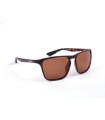 Shimano Eyewear Ultegra Tortoiseshell & Cooper