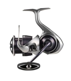 Daiwa 25 Caldia LT 4000-C