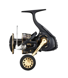 DAIWA 23 BG SW 6000 D-H