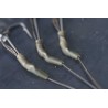 NASH HOOK KICKERS Medium