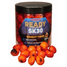 STARBAITS READY SEEDS BRIGHT TIGER SK 30